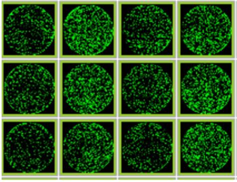 Gene Editing Machine 的图像结果