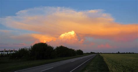 Осьминоги под MDMA — Teletype