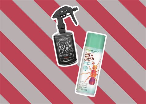 5 Best Pet Safe Ant Killers Reviewed in Detail (Fall 2023)