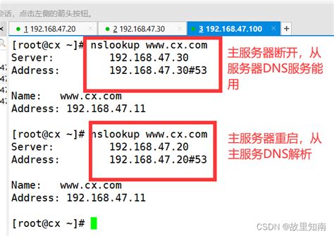 Windows server 2008系统怎么修改服务器DNS地址-蓝海科技-高防物理机-BLUE引擎服务器-传奇服务器云主机