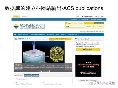 EndNote Review 的图像结果