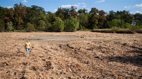 Ohio burn ban: Ban on open burning extended despite recent rain