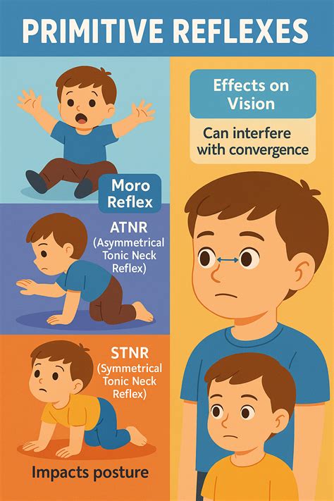 Unlocking Academic and Developmental Potential: How Primitive Reflexes ...