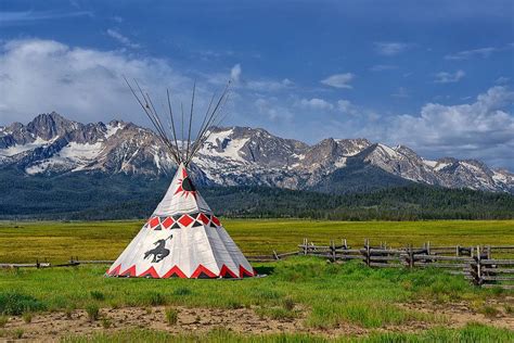 Ely Shoshone Foods Pine Nuts Wild Game Plants