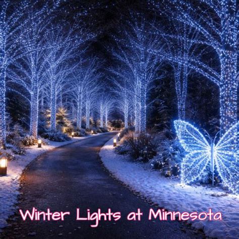 Winter Lights at Minnesota – Dates, Costs, and Attractions - Festival ...