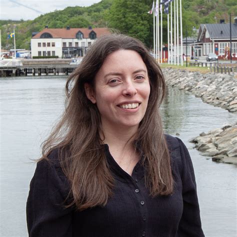 Ocean Knowledge Graph 的图像结果