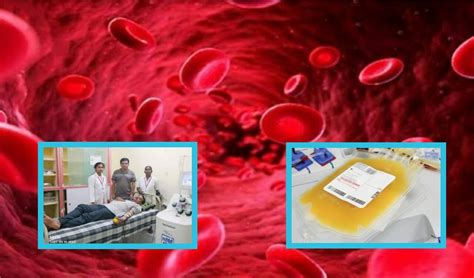 Platelets : ప్లేట్ లెట్స్ ఏస్ధాయికి చేరితే ప్రమాదం... ఎప్పుడు ...