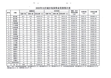 2020年10月城乡低保资金发放统计表_舒城县人民政府