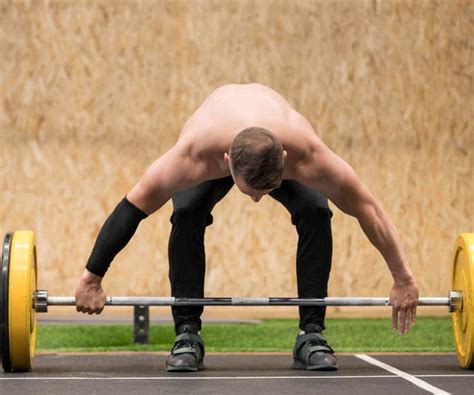 How to Incorporate Mass Gainers into Your Bulking Routine | GN Blogs ...