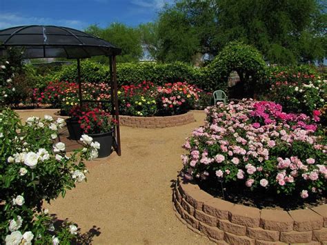 21 Rose Garden Plans Ideas To Try This Year | SharonSable