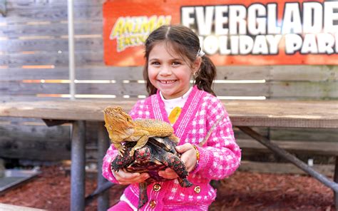 Miami: Everglades Holiday Park Animal Encounter Experience Tickets ...