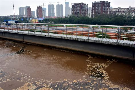 广东茂名治水工作不力 污水直排问题突出-国际环保在线