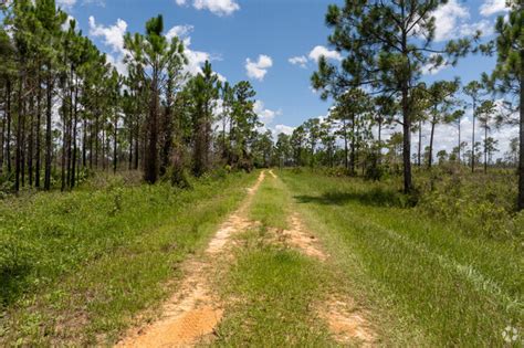 Sebring, FL City Guide | About Living in Sebring - Homes.com