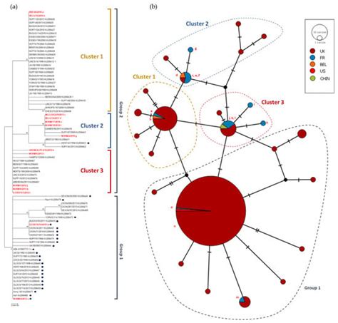 Molecular Surveillance of EHV-1 Strains Circulating in France during ...