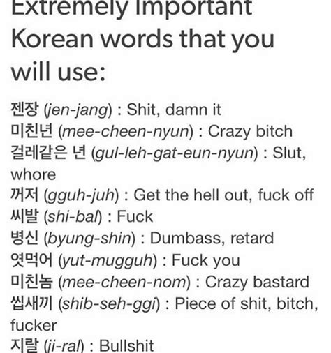 Korean Swear Words Korean Curse Words