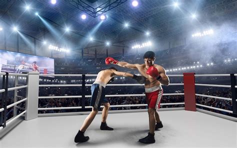 Professional Boxing 的图像结果