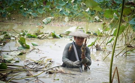 【广州白云】一月两次遭黄泥水倒灌 村民家中受浸严重-荔枝网