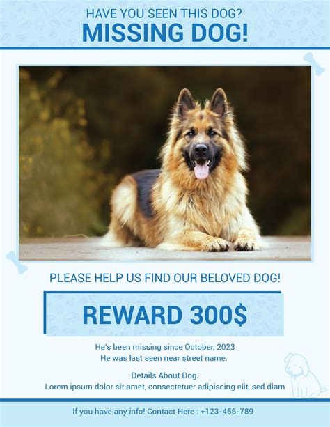 Free Lost Pet Flyers - Edit Online - Word, Adobe, GSlides - WordLayouts