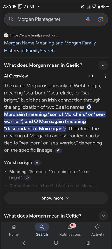 What Does The Name Morgan Mean Today? - Morgan Plantagenet: Ancestral ...