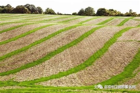 农村户口如果转出，那农民之前的承包地该怎么办？ - 知乎