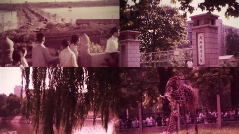 一组90年代的河南农村写真胶片|摄影|胶片|sky - 原创作品 - 站酷 (ZCOOL)