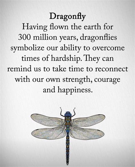 11 dragonfly meanings – understanding dragonfly symbolism – Artofit