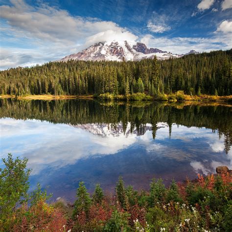 Image result for Nature Sample