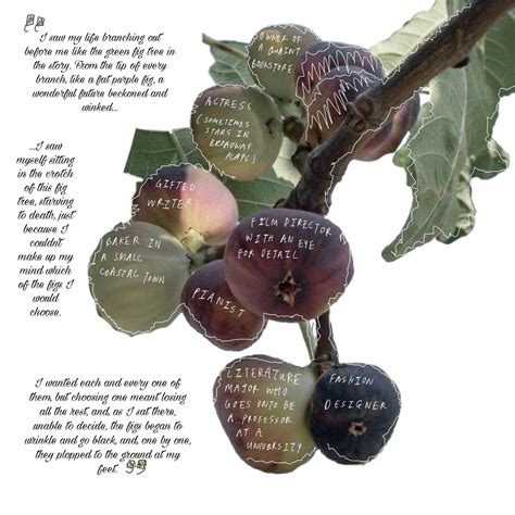 #sylviaplath #figtreeanalogy | Sylvia plath fig tree, Sylvia plath, Silvia plath