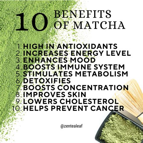 Matcha Gut Benefits at Eileen Perry blog