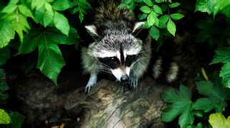 Image result for Examples of Good GUI