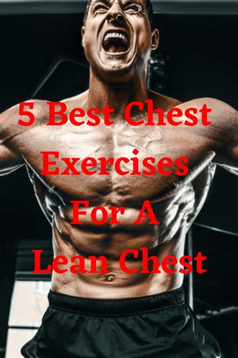 Lean Chest Muscles 的图像结果