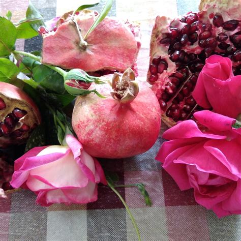 MEGHRI HOUSE OF CULTURE (2025) All You Need to Know BEFORE You Go (with ...