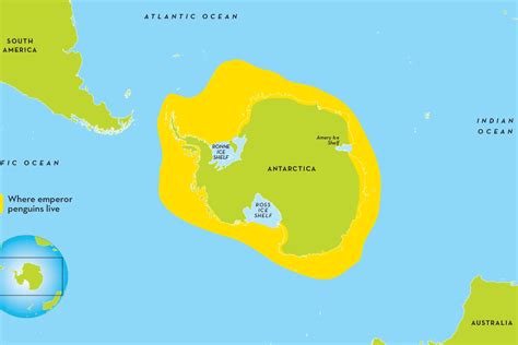 Where Does Penguins Live