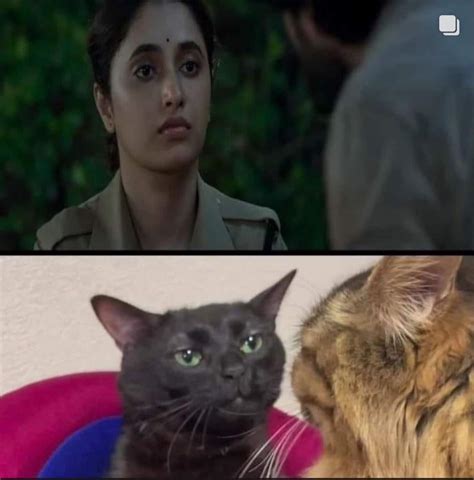 Mohan Memes 🌸🌸,