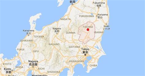 Japan: Eight schoolchildren feared dead after avalanche in Tochigi ...