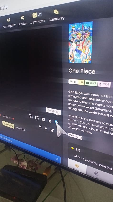 Full screen problem : r/AniWatchZone