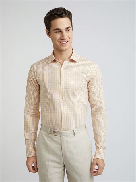 Men Fawn Slim Fit Checks Cotton Shirts – MyRaymond