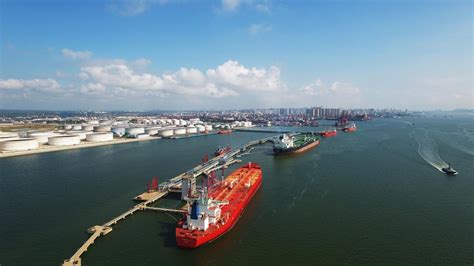 湛江港石化码头有限责任公司2022年招聘简章_湛江市人民政府门户网站
