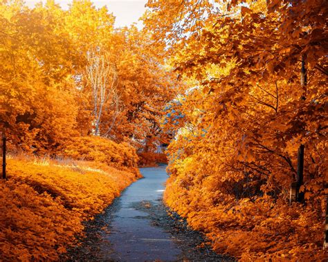 Download wallpaper 1280x1024 autumn, path, park, foliage standard 5:4 ...
