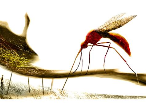 They Tried To Hide This Kattpaccino Leak - Truth or Fiction