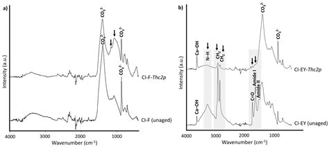 Influence of Pigment Composition and Painting Technique on Soiling ...