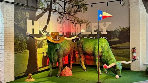 ⛳ Mini Golf + Games - Meetup at Holey Moley Austin!, Holey Moley Golf ...