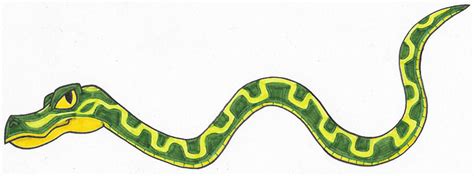 Image result for Burmese Python Pattern