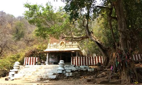 Jwala Narasimha Swamy Temple, Ahobilam - Timings & Entryfee