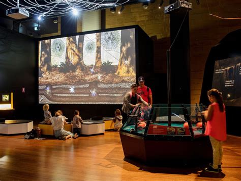 Spiders. From fear to fascination | Meer