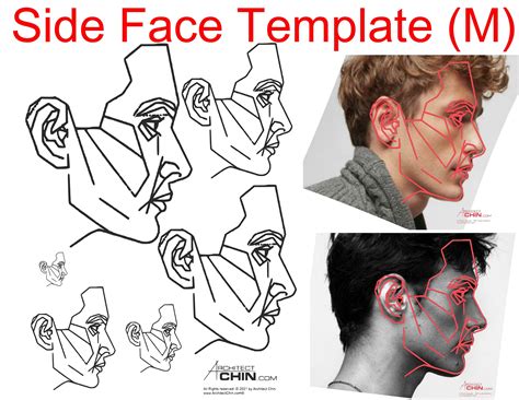 Male Face Template, Golden Ratio Grid, Side Profile (digital Download ...