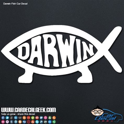 Image result for darwin decal car