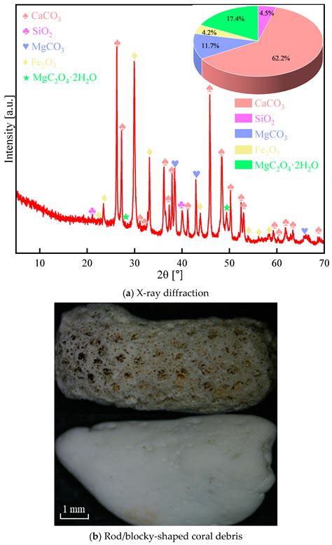 Study on Static Mechanical Properties and Numerical Simulation of Coral ...