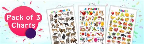 Set of 3 Alphabet, Fruits and Wild Animals Early Learning Educational ...