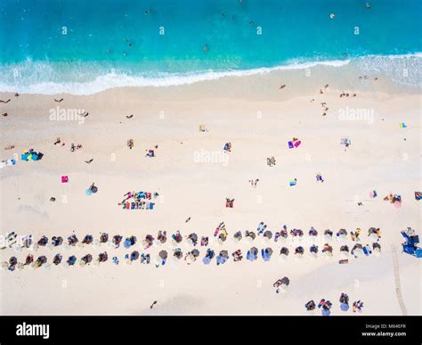 Swim in the Sun 的图像结果